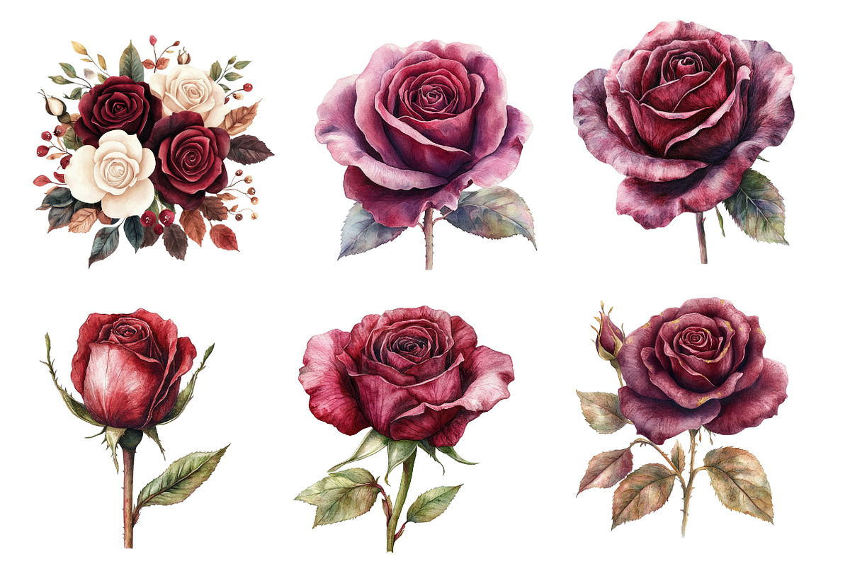 Vintage Burgundy Roses Clipart, an Illustration by Designworld (Photo 4 of 6)