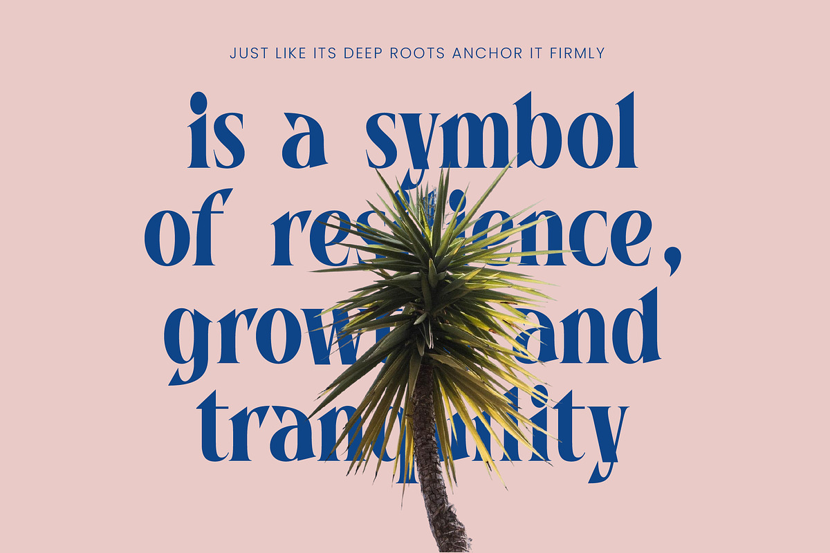 Bycorps Existent Bold Serif Font, a Script Font by timelesstype.co (Photo 11 of 20)