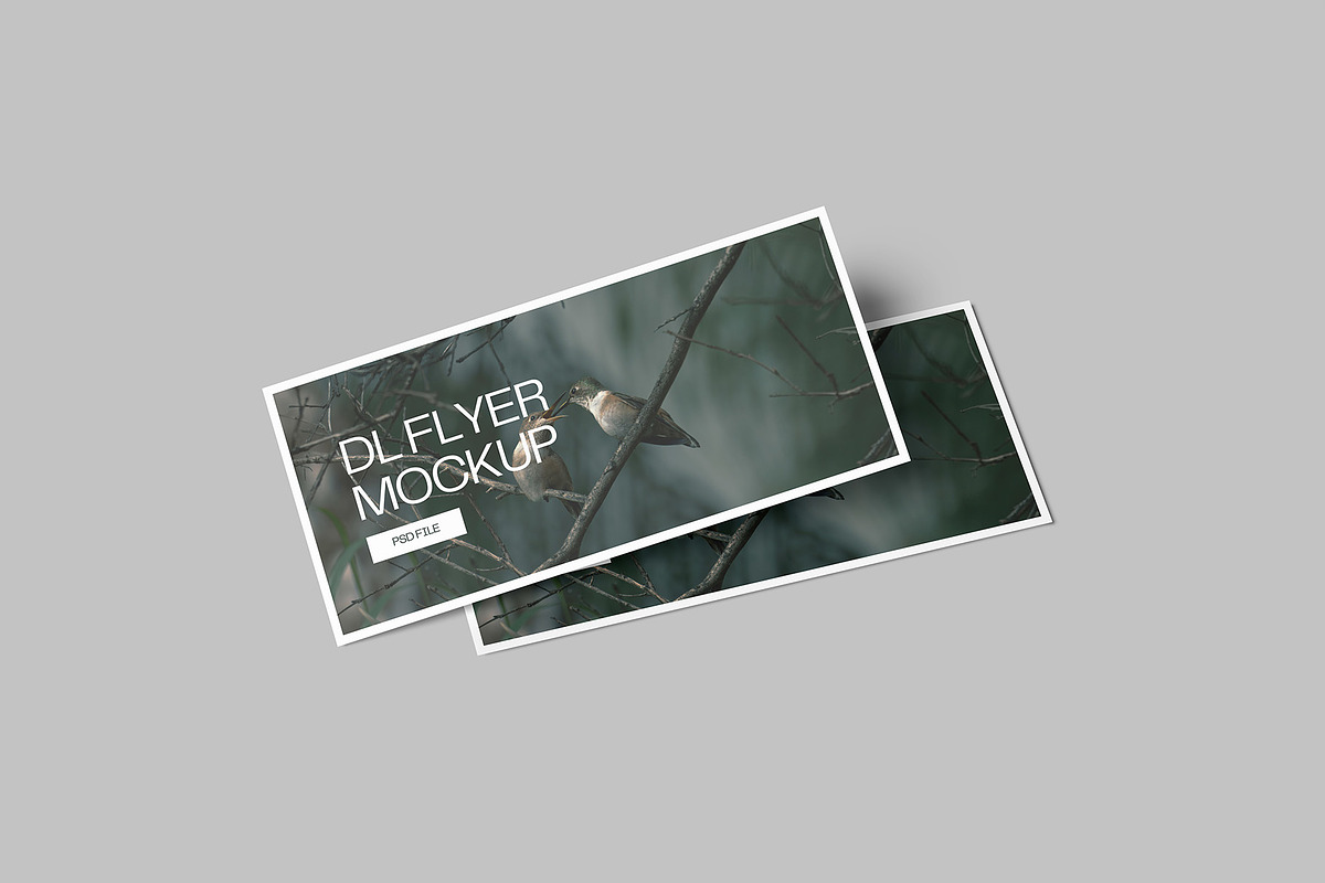 Landscape DL Flyer Mockup, a Print Template by Graphiculon (Photo 9 of 13)