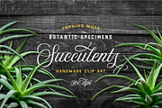 Succulents -Real Haworthia Specimens, an Object Graphic by Turning Moss (Thumbnail 1 of 9)