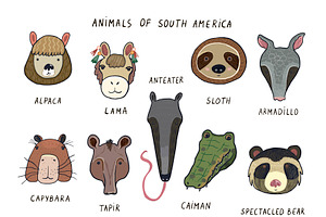 Animals Of South America Funny Faces