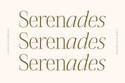 Seraphine Modern Font Serif, a Serif Font by Letterena Studios (Thumbnail 5 of 15)