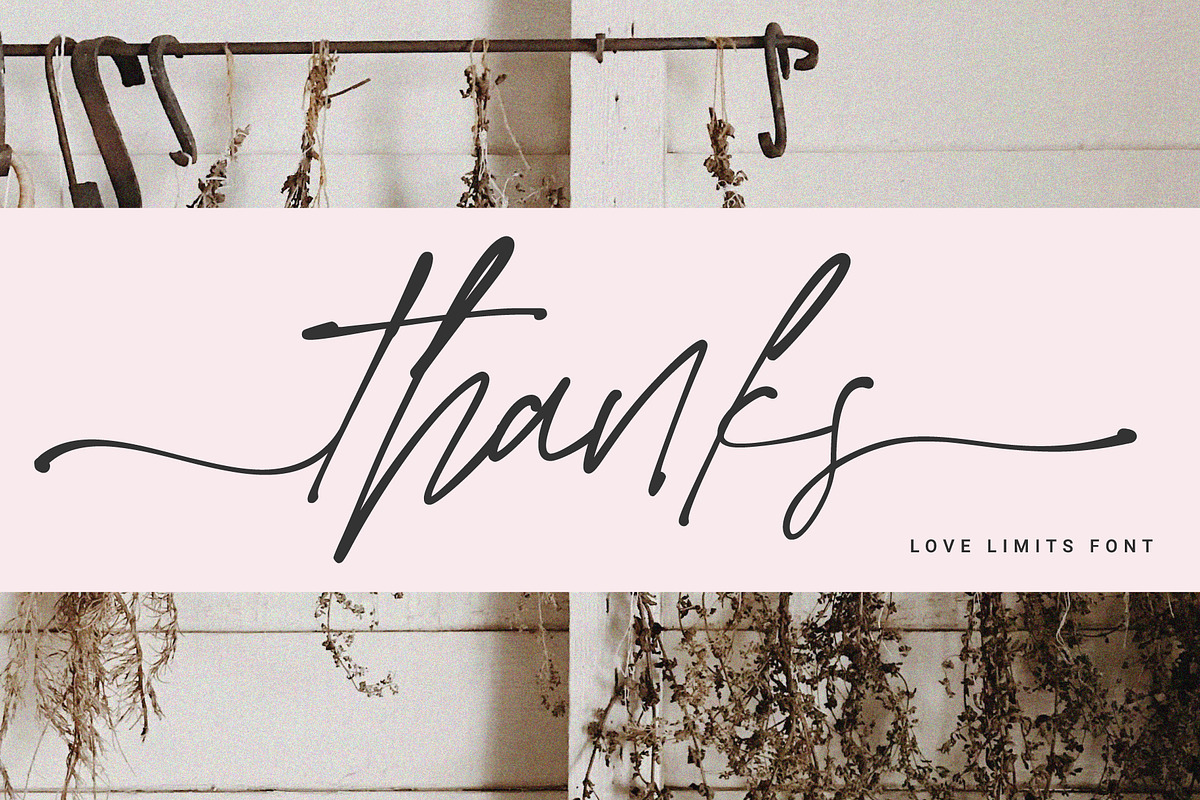 Love Limits - Lovely Stylish Font, a Script Font by Prioritype Co (Photo 10 of 10)