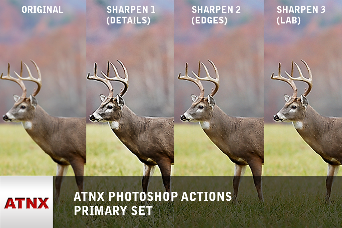 ATNX Photoshop Actions (Primary Set)