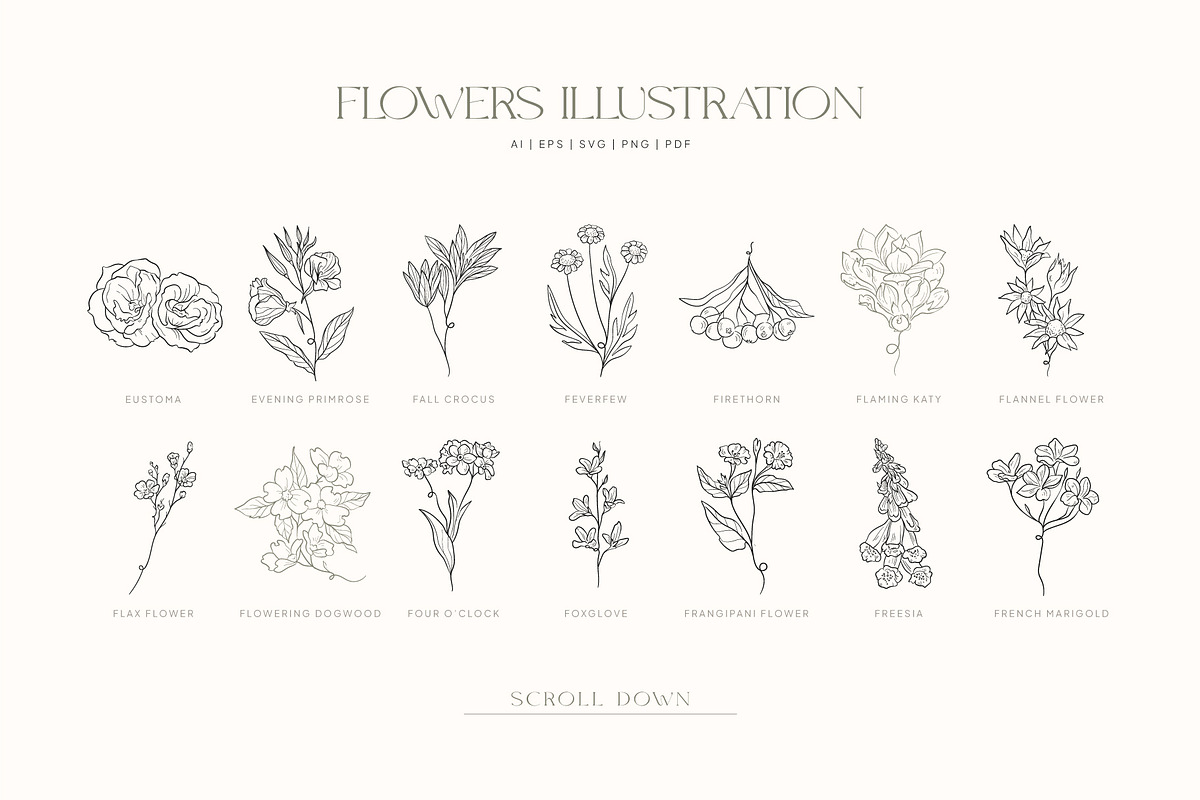 Modern Botanica | Logo Kit, a Branding & Logo Template by KetteCreate (Photo 17 of 18)