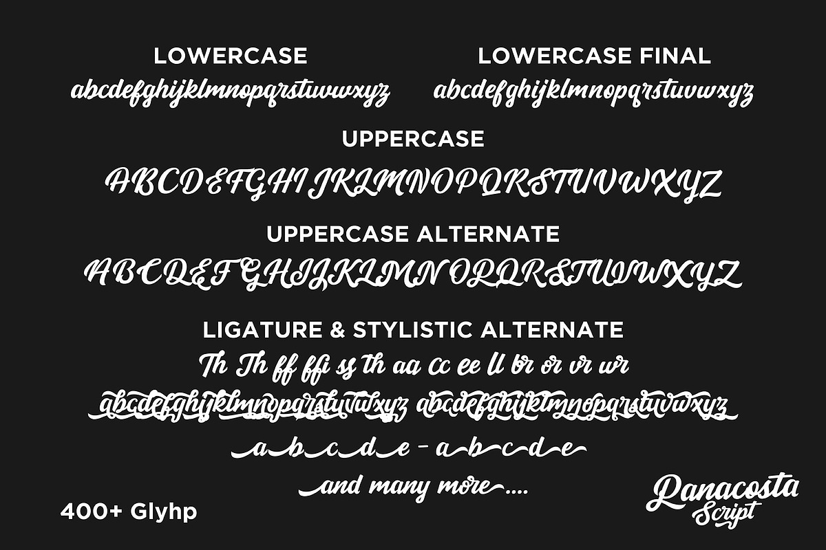 Panacosta Script, a Handwritten Font by Qadry (Photo 12 of 12)