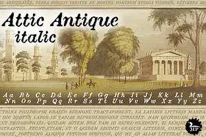 Attic Antique Italic