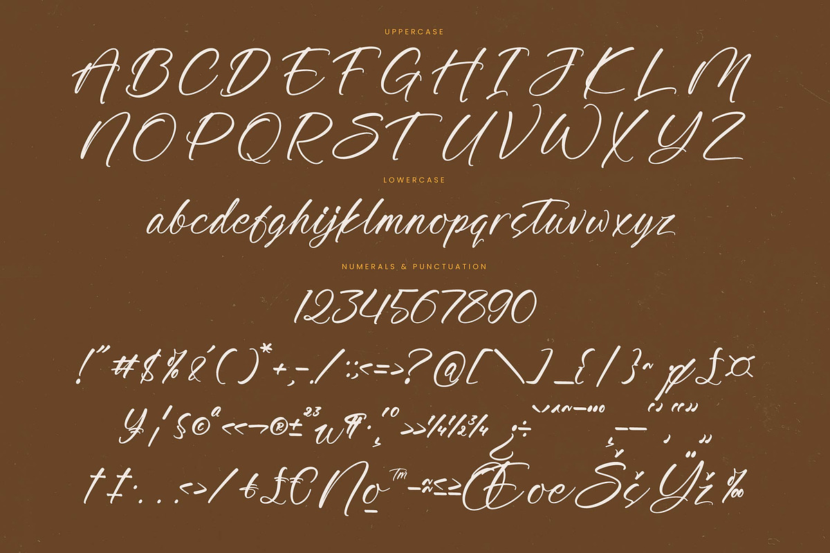 Awakening Gallop Modern Brush Font, a Script Font by stylishtype.co (Photo 19 of 20)