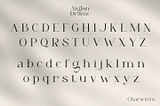 Aiglon Drame - Modern Ligature Serif, a Serif Font by erlosDESIGN (Thumbnail 10 of 13)