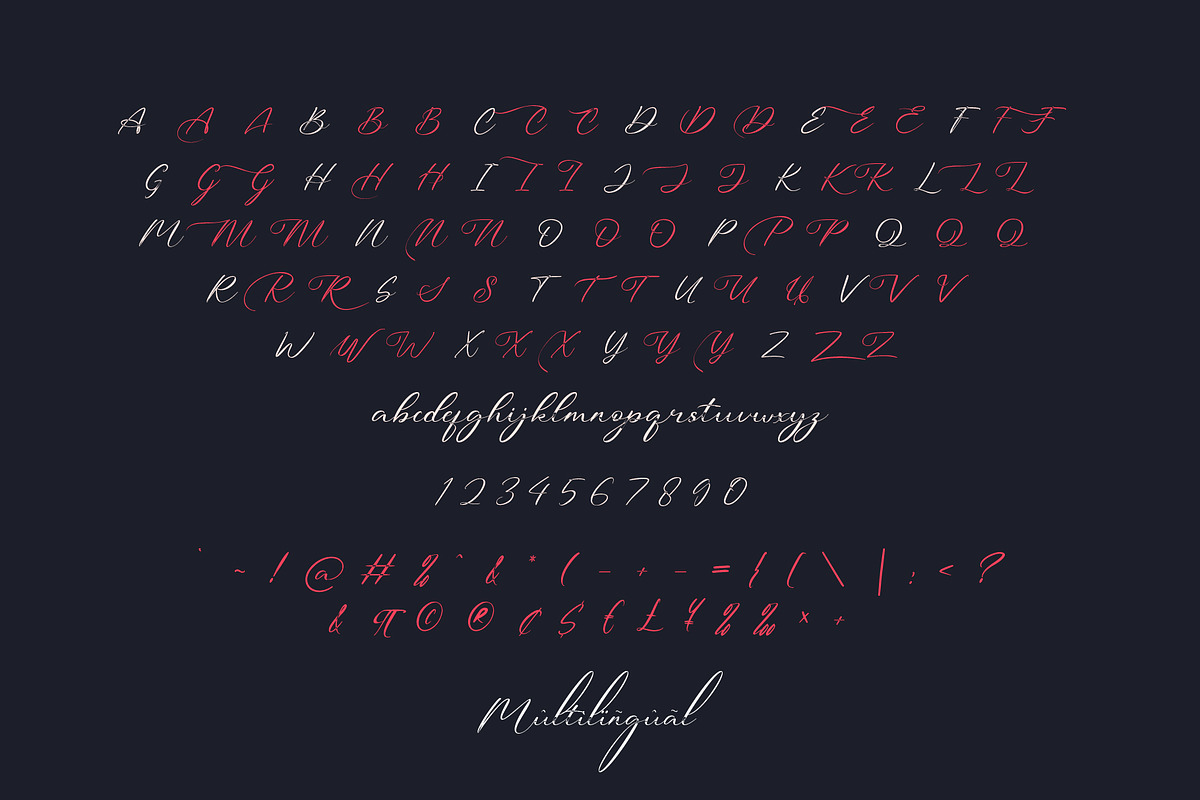 Michand Script | Classy Calligraphy, a Script Font by StoricType (Photo 2 of 16)