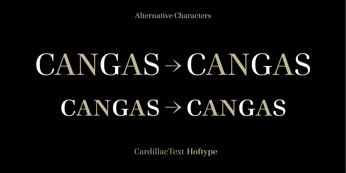 Cardillac Text, a Serif Font by Hoftype (Photo 9 of 15)