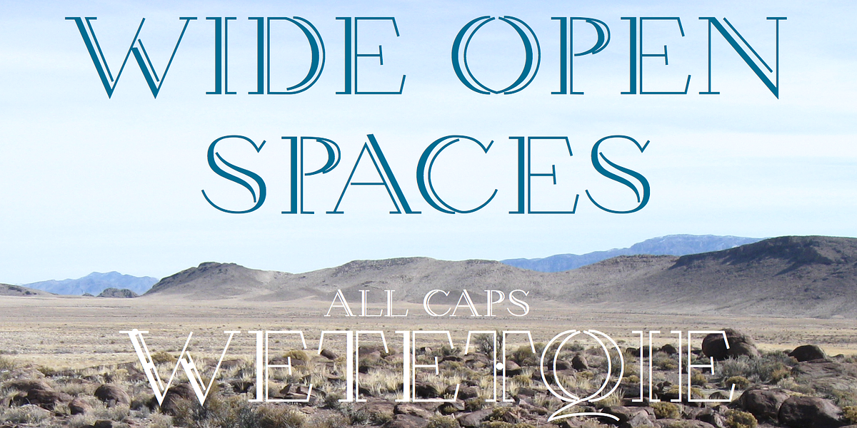 Wetetque, a Serif Font by Ingrimayne Type (Photo 1 of 5)