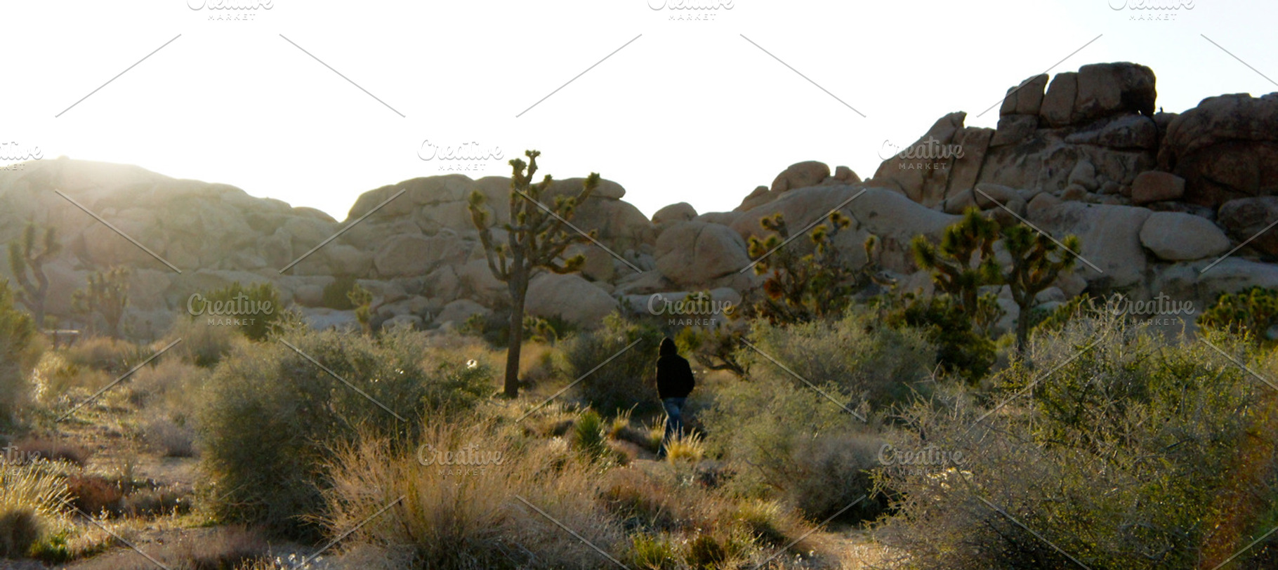 Ghost in the Savannah
