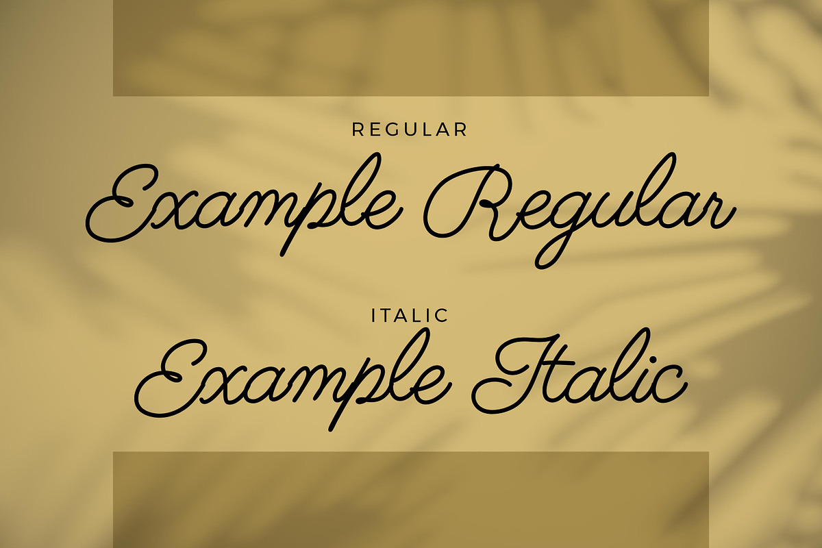 Sweet Talker - Monoline Script style, a Script Font by mahstudios (Photo 7 of 8)