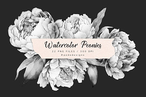 Peonies Patterns & Elements IV