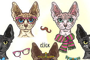 Sphynx Cats Set