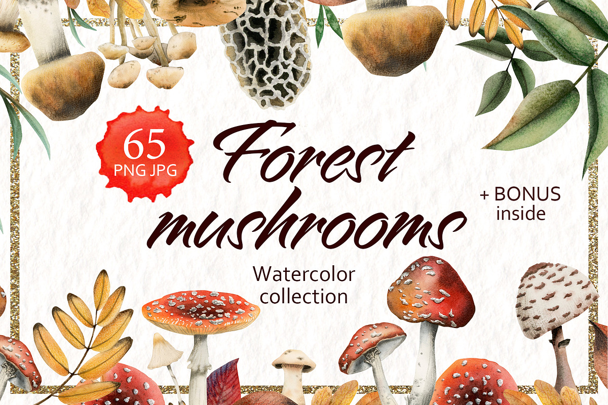 Forest Mushrooms: Edible & Poisonous, a Seasonal Illustration by Elena Malgina Clipart (Photo 1 of 13)
