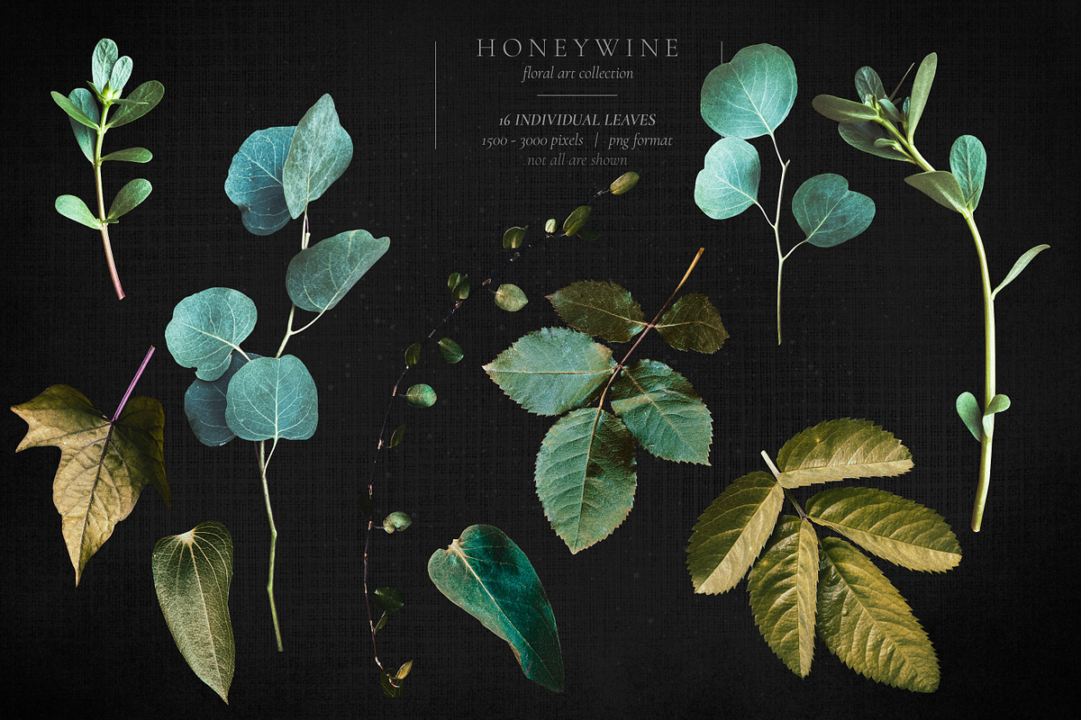 Honeywine Floral Art Collection, an Object Graphic by Eclectic Anthology (Photo 18 of 19)