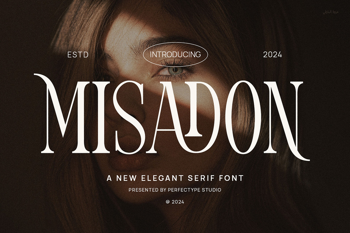 Misadon Elegant Ligature Serif Font, a Serif Font by Perfectype (Photo 1 of 6)