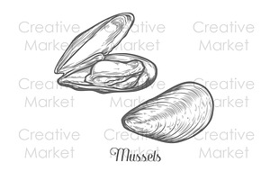 Mussels Hand Drawn Vector