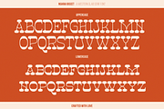 Ngarai Biscet | Western Slab Serif, a Slab Serif Font by Denustudios (Thumbnail 13 of 15)