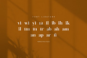 Melfin Modern Serif Font, a Serif Font by Perfectype (Thumbnail 8 of 8)