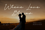 Elegance Wedding – Veilglos Font, a Handwritten Font by Stylin Studio (Thumbnail 2 of 9)