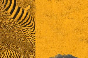 Surreal Abstract Halftone Jungle, a Decorative Illustration by Virgo Studio
