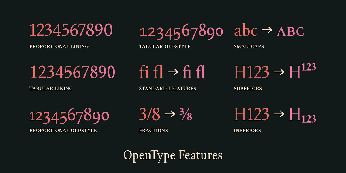 Blizka, a Serif Font by YXType (Photo 12 of 13)