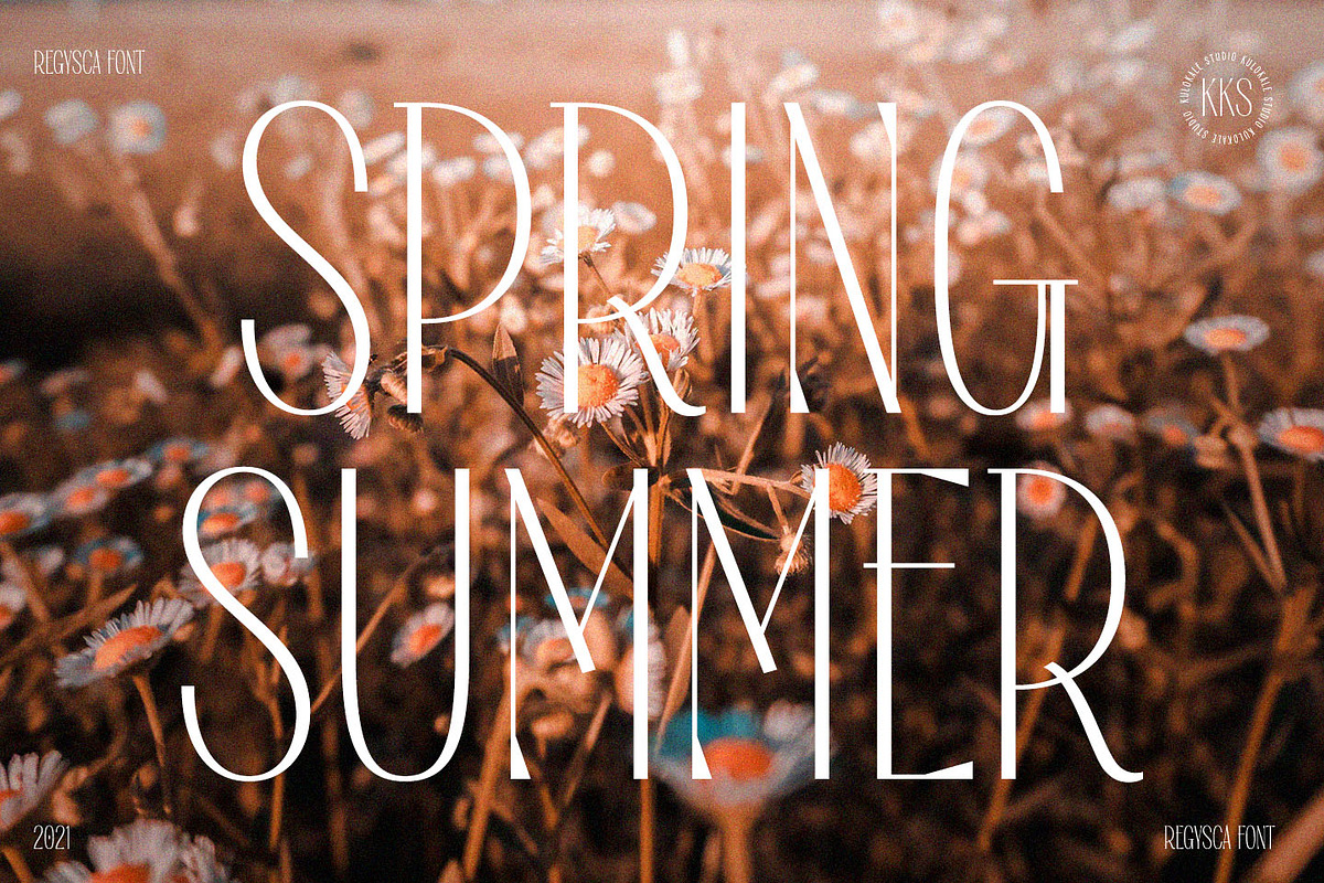 Regysca Elegant Modern Serif Font, a Serif Font by Kulokale (Photo 2 of 10)