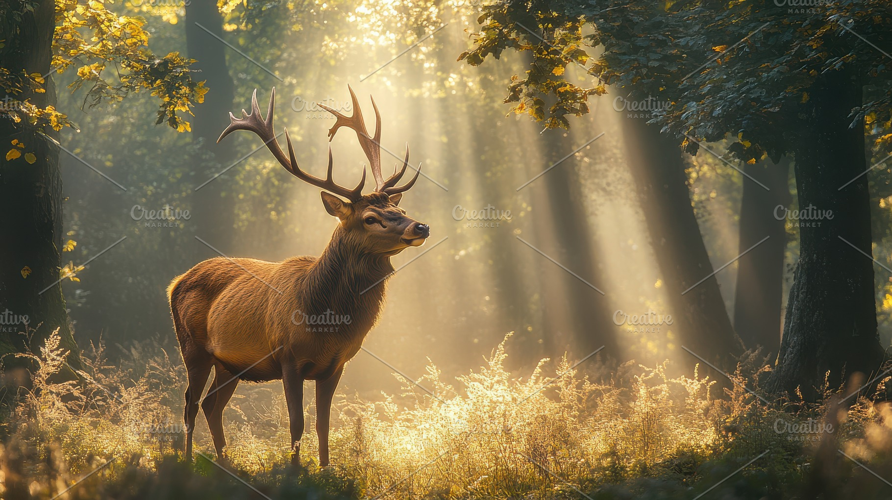 Stag in the dappled sunlight, rays o, an Animal Photo by Pixeness Studio