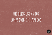 AUTUMN FARMHOUSE FONT BUNDLE, a Font by Blush Font Co. (Thumbnail 13 of 31)