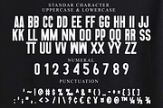 Bright School, a Script Font by FreshTypeINK (Thumbnail 6 of 8)