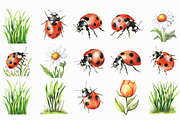 Watercolor Ladybug Clipart, an Illustration by Libby Wishes (Thumbnail 6 of 7)