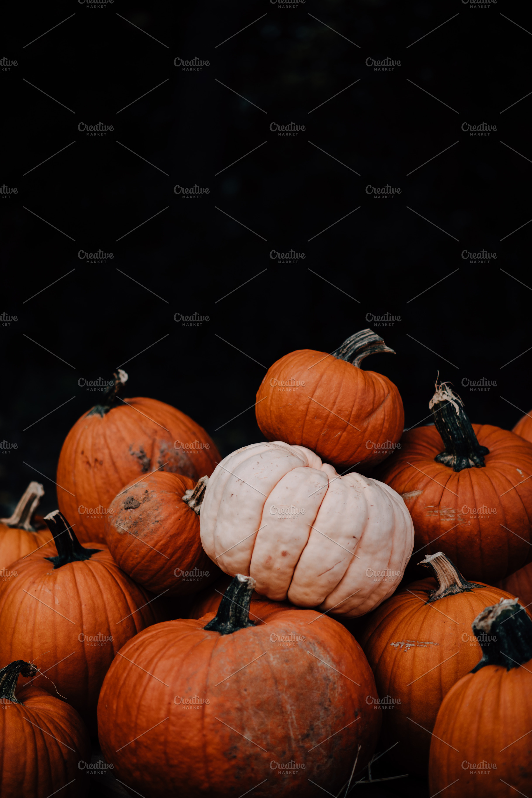 Fall pumpkins orange & black stock photo containing pumpkins and orange, a Food & Drink Photo by Nine Photography