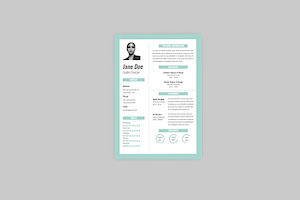 Professional Resume Designer