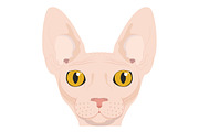 9x Cat breeds Vector Collection, an Animal Illustration by asantosg (Thumbnail 5 of 5)