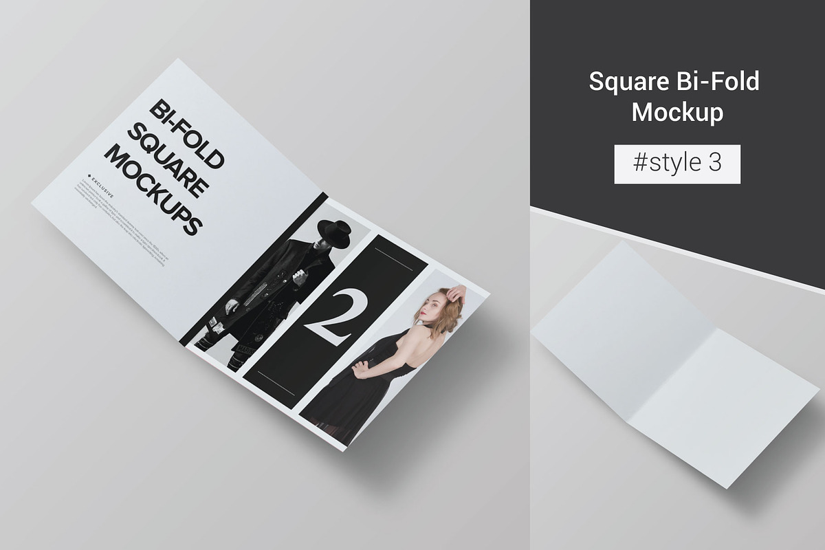 Bi-Fold Brochure Mockup 8 Style, a Print Template by Mockstore (Photo 6 of 18)