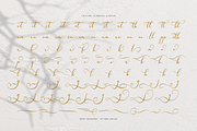 Velocity Romantica Calligraphy Font, a Script Font by Denustudios (Thumbnail 11 of 12)