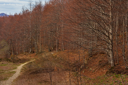 Landscape of Tuscan Emilian Apennines In Ventasso, Italy, a Nature Photo by Bepslabor
