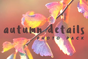 Autumn Details Photo Pack, a Templates & Theme by c l a r a X Y (Thumbnail 1 of 3)