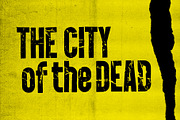 PunkRocker Font Trio, a Sans Serif Font by Fenotype (Thumbnail 7 of 10)