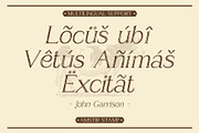 Amstir Stamp, a Serif Font by Craft Supply Co. (Thumbnail 4 of 8)