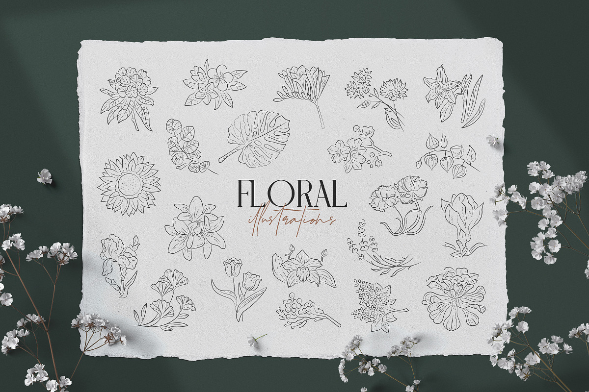 Floral Illustration Set, a Decorative Illustration by iStar Design (Photo 1 of 13)