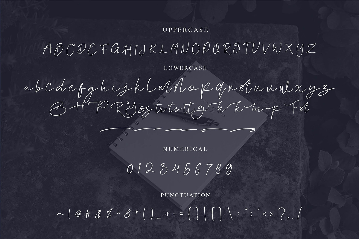 Fanita Pricia - Elegant Script Font, a Script Font by NTC Graphic (Photo 8 of 9)