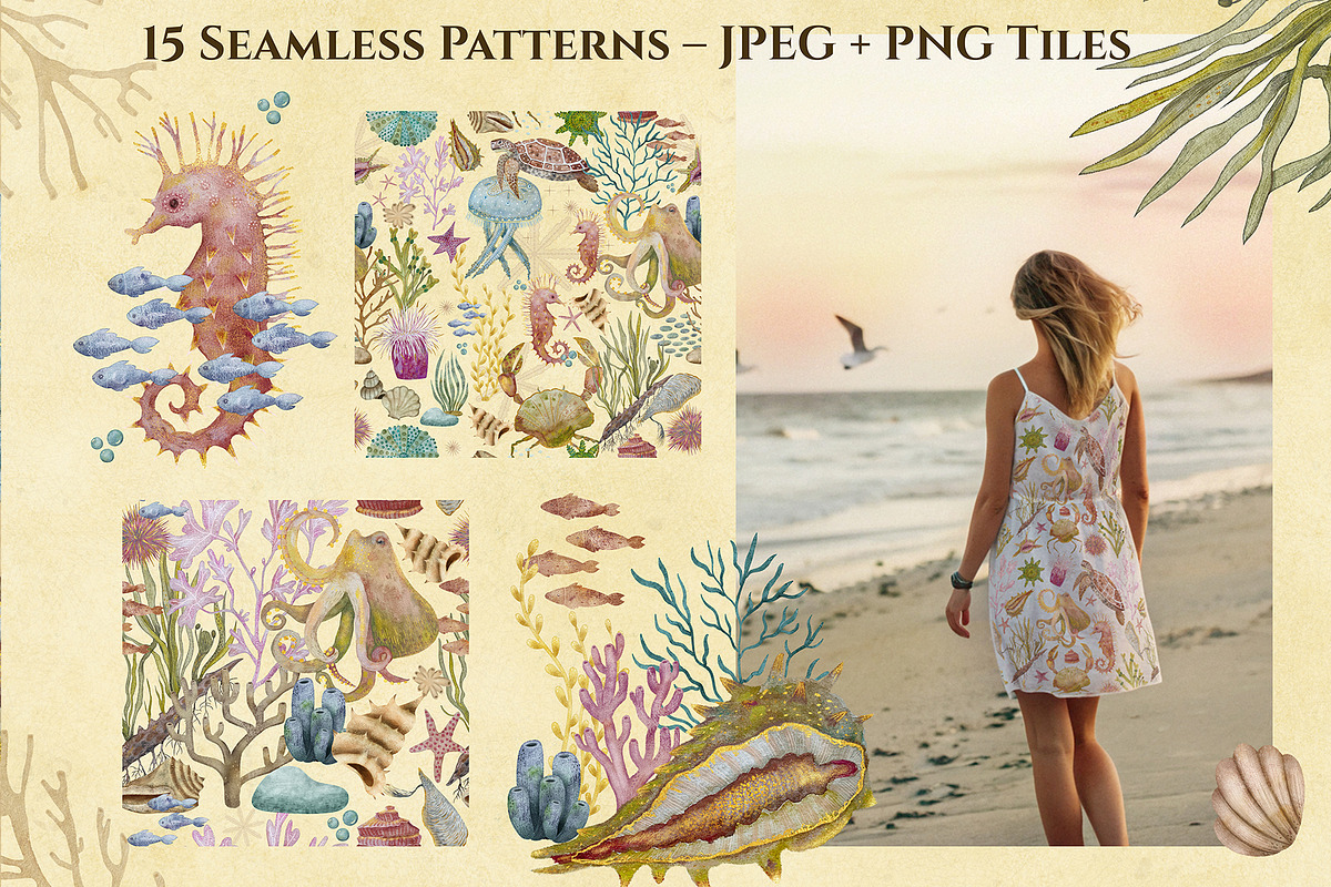 Marine Naturalist Collection, a Graphic by Kattypainting (Photo 4 of 10)