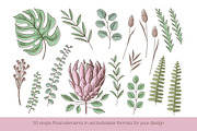 Tropical floral set | 105 elements!, an Object Illustration by bariskina (Thumbnail 3 of 14)