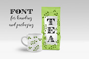 Floryan & FloryAnna Font Duo, a Font by Digital Typeface Studio (Thumbnail 4 of 7)