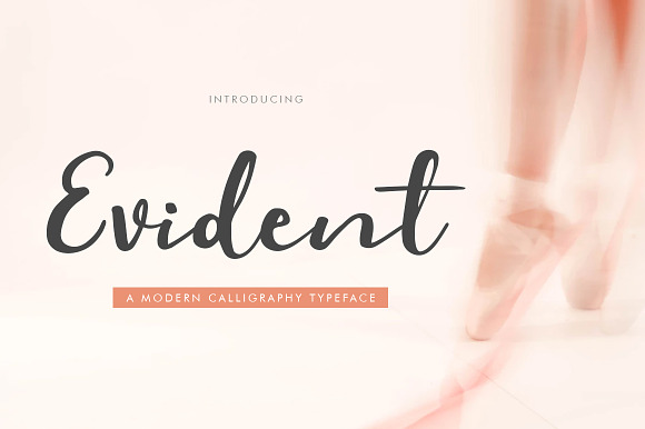 Evident Script preview 8
