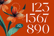Strikes Against Modern Serif Font, a Serif Font by timelesstype.co (Thumbnail 16 of 20)